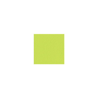 Serviette cocktail lime 2c 4pl 24x24cm 2400pcs