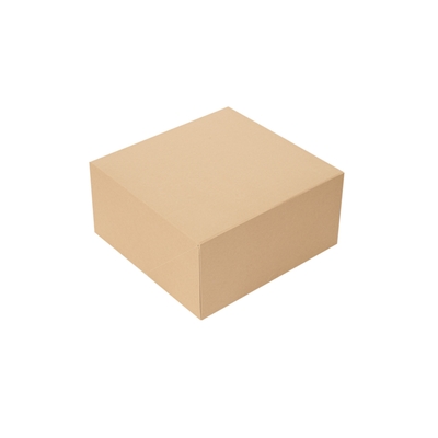Boite traiteur naturel 24x24x12cm 100pcs