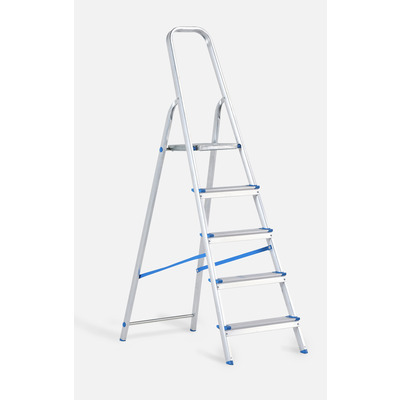 Excelsior household ladder 5r