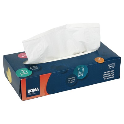 Facial Tissue 100p 21x21cm