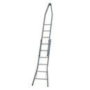 Window cleaning ladders - pointed model