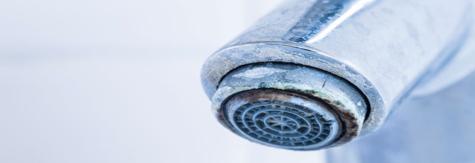 Éliminez et prévenez le calcaire dans vos sanitaires