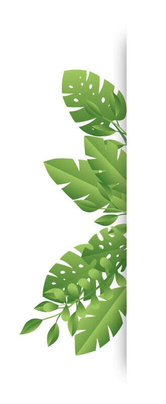 illustratie van takken en planten
